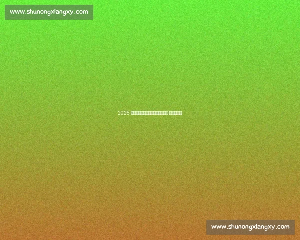 2025 中俄跨境马拉松开跑:一桥连两国 奔跑赴友约