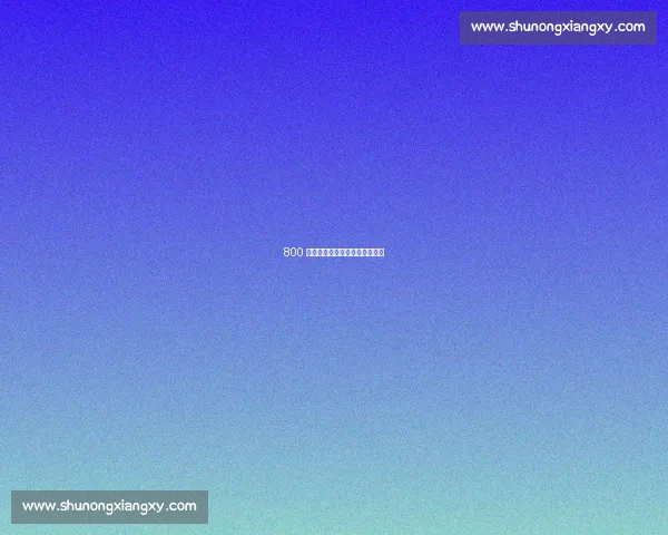 800 欧到英超:乌切的两年逆袭传奇